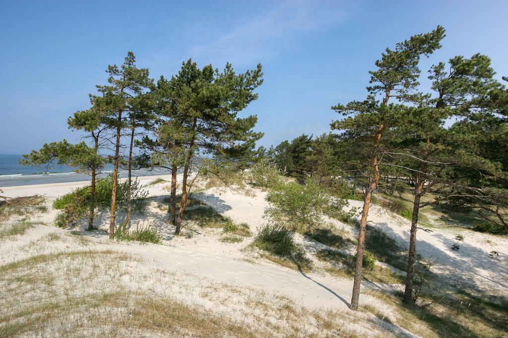 Vila Medus Palanga Exterior photo